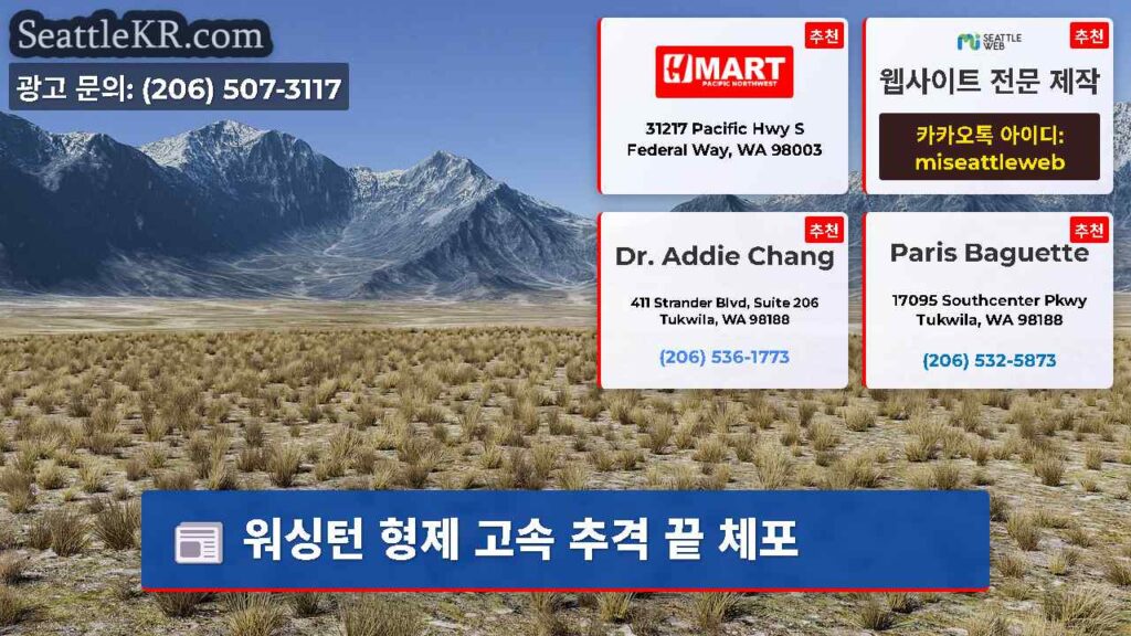 워싱턴 형제 고속 추격 끝 체포