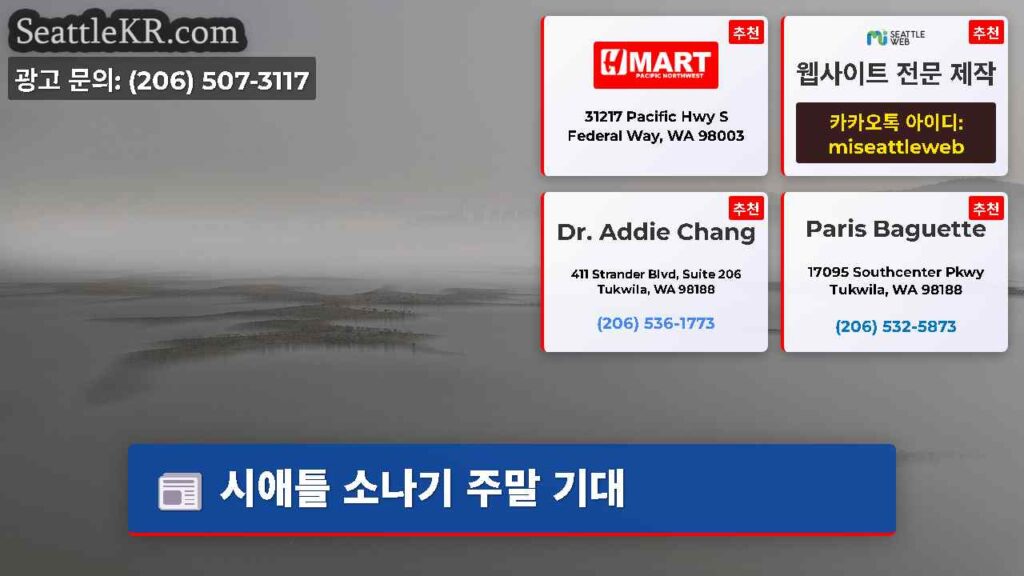 시애틀 소나기 주말 기대