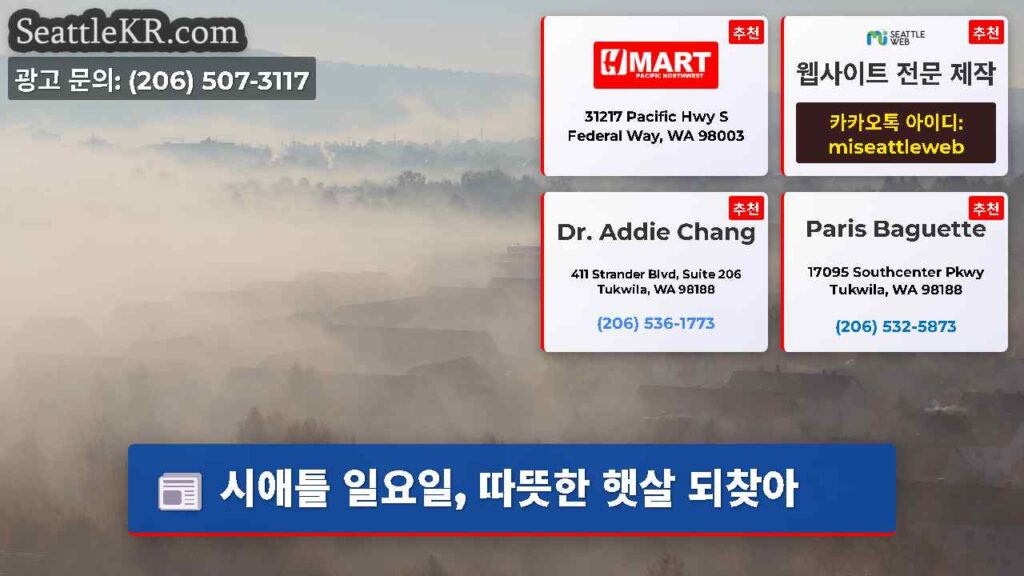 시애틀 일요일, 따뜻한 햇살 되찾아