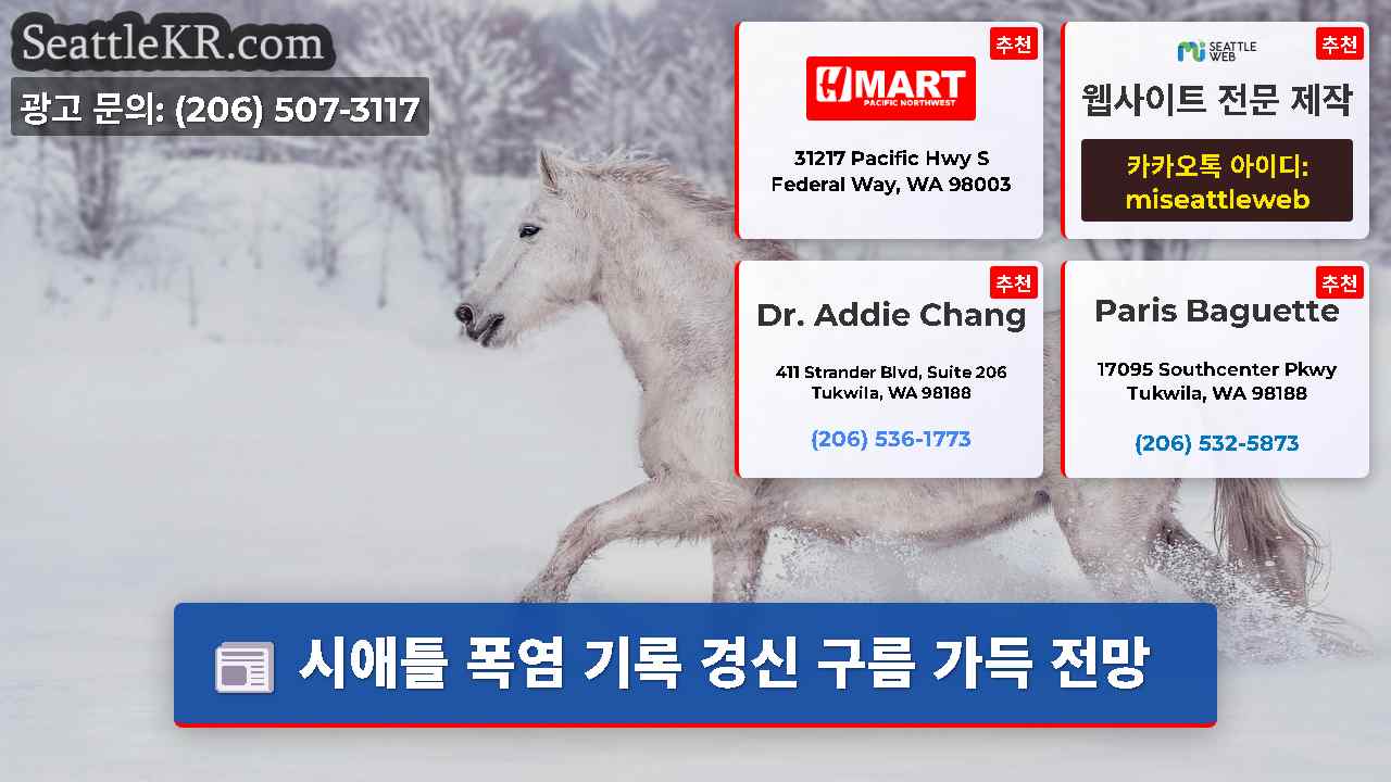 시애틀 뉴스 SeattleKR