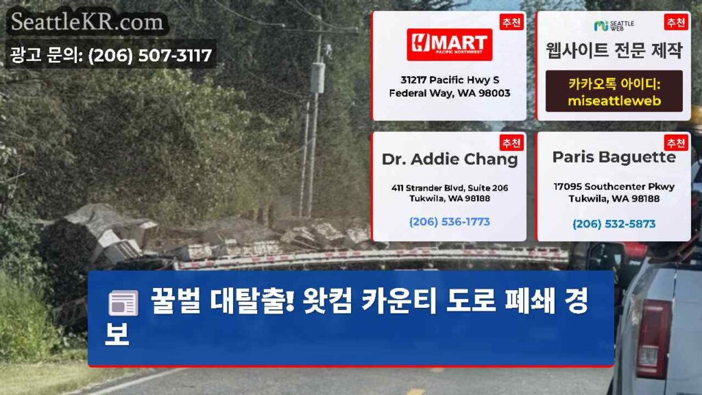 꿀벌 대탈출! 왓컴 카운티 도로 폐쇄 경보