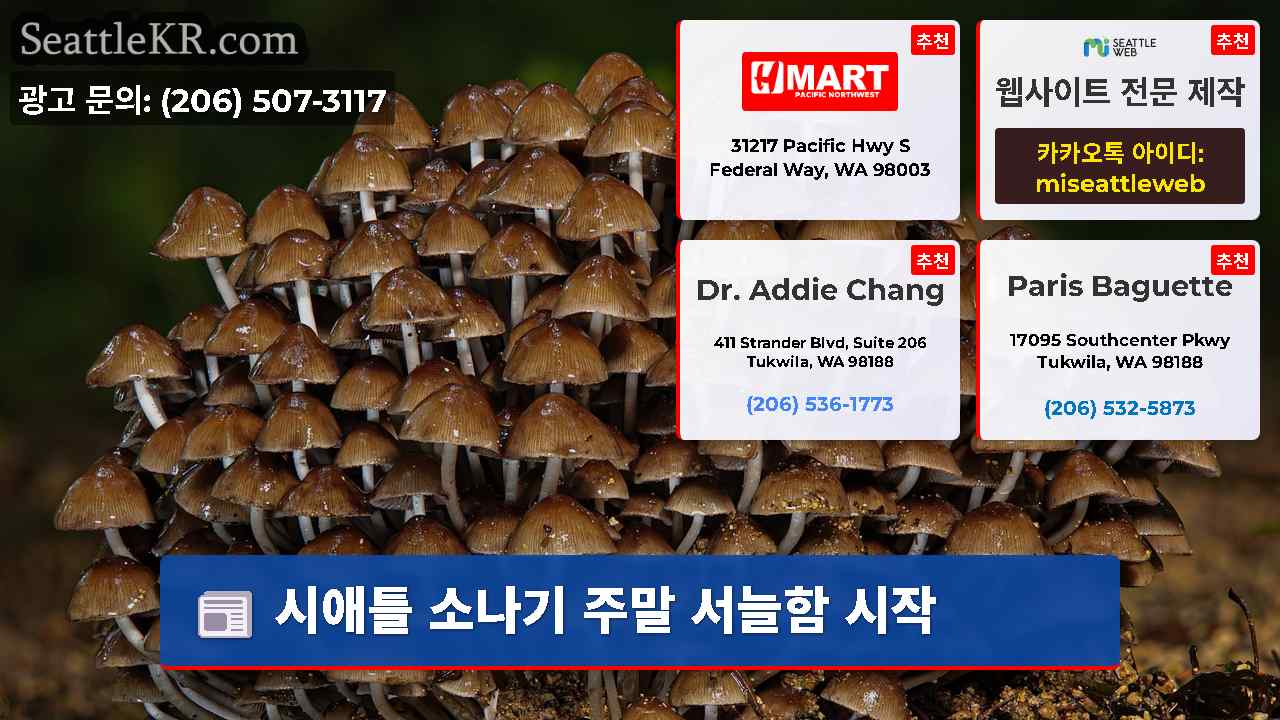 시애틀 뉴스 SeattleKR