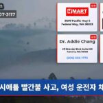 시애틀 빨간불 사고 여성 운전자 체포
