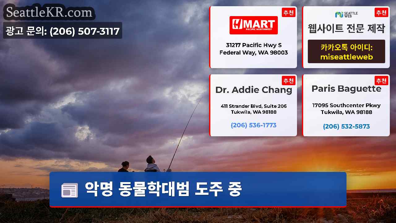 시애틀 뉴스 SeattleKR