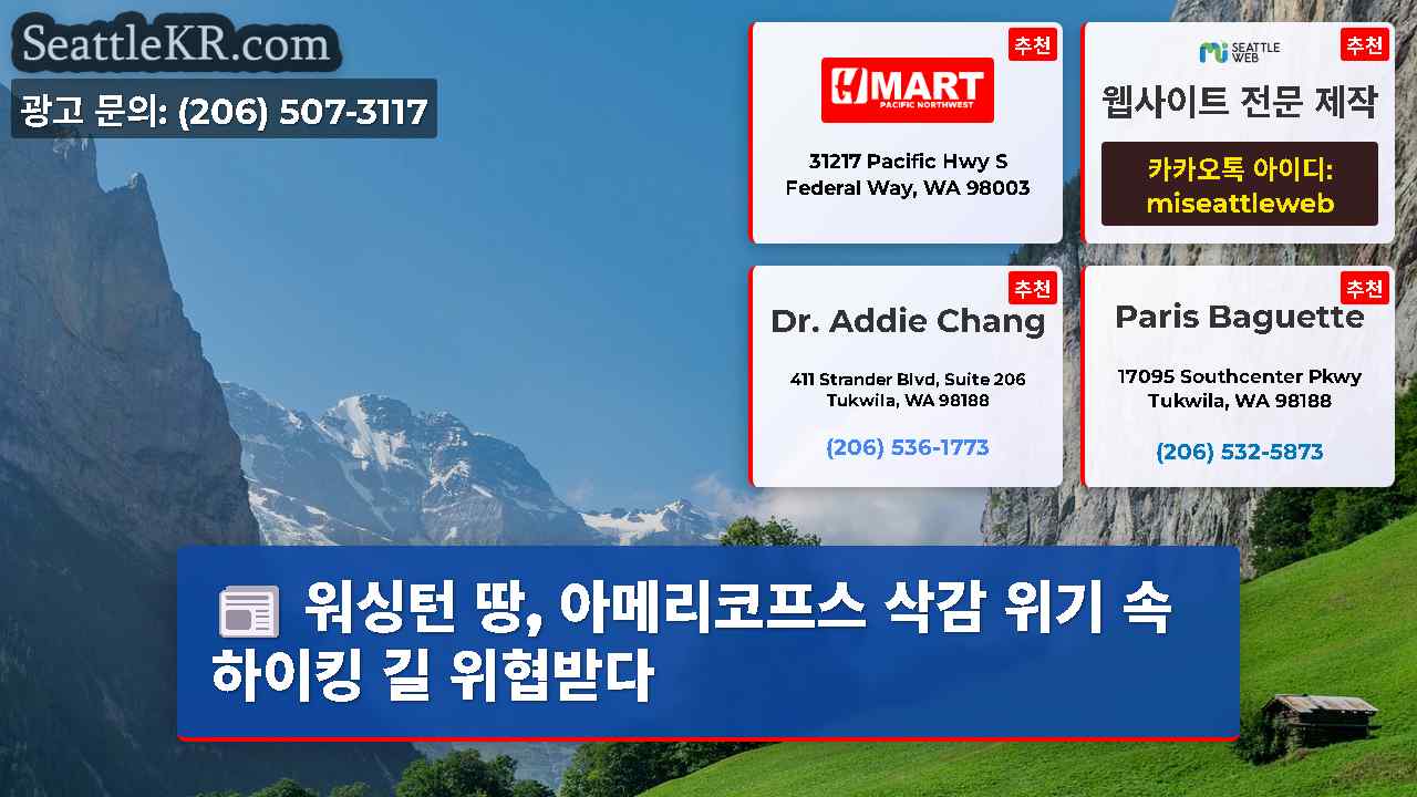시애틀 뉴스 SeattleKR