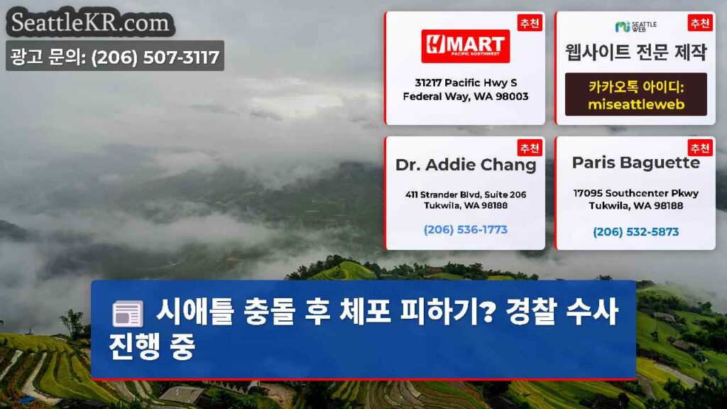 시애틀 충돌 후 체포 피하기? 경찰 수사 진행 중