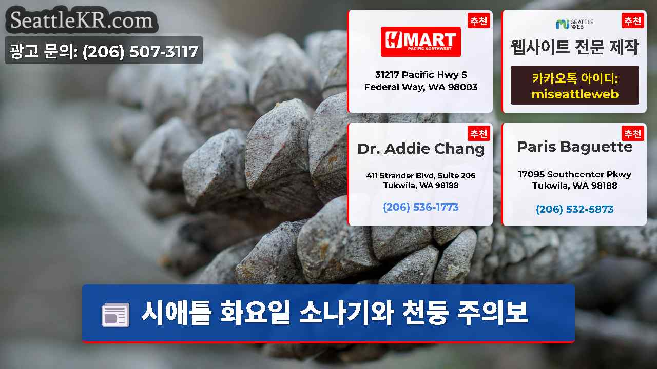 시애틀 뉴스 SeattleKR