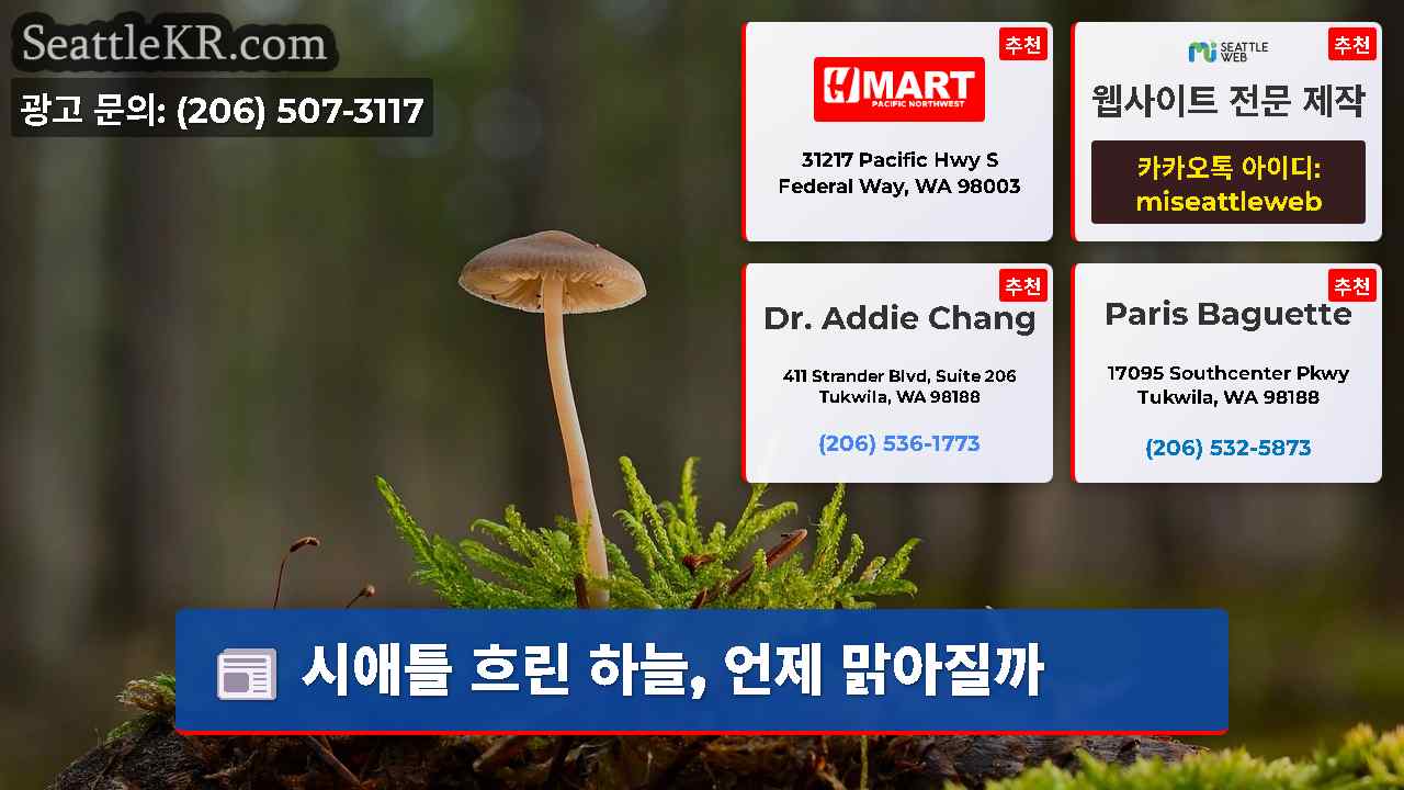 시애틀 뉴스 SeattleKR