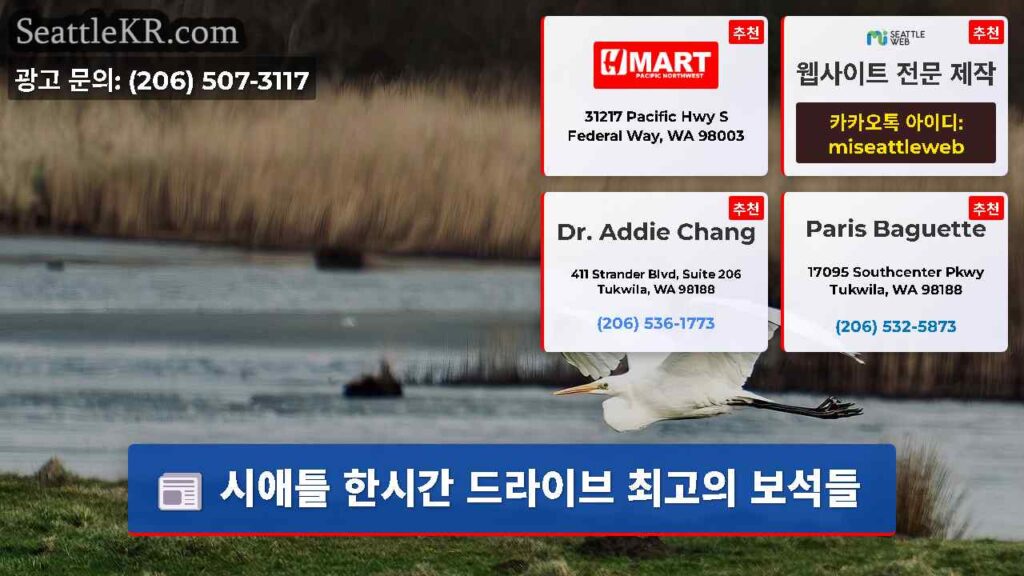 시애틀 한시간 드라이브 최고의 보석들