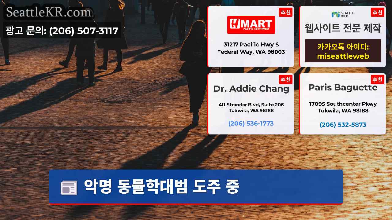 시애틀 뉴스 SeattleKR