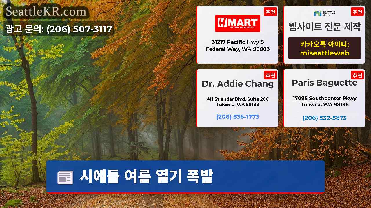 시애틀 뉴스 SeattleKR