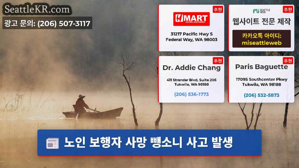 노인 보행자 사망 뺑소니 사고 발생