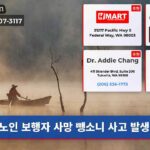 노인 보행자 사망 뺑소니 사고 발생