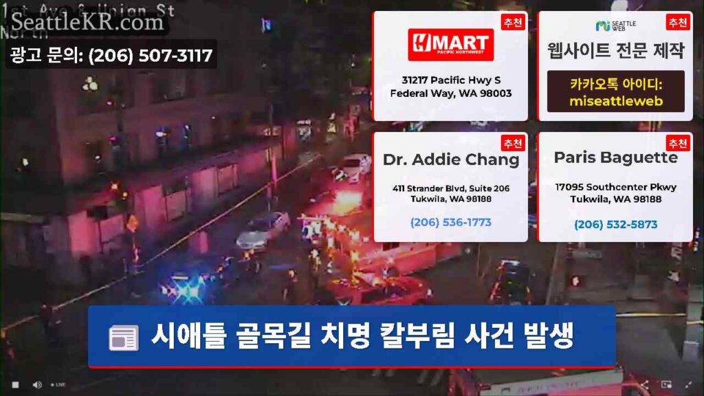 시애틀 골목길 치명 칼부림 사건 발생