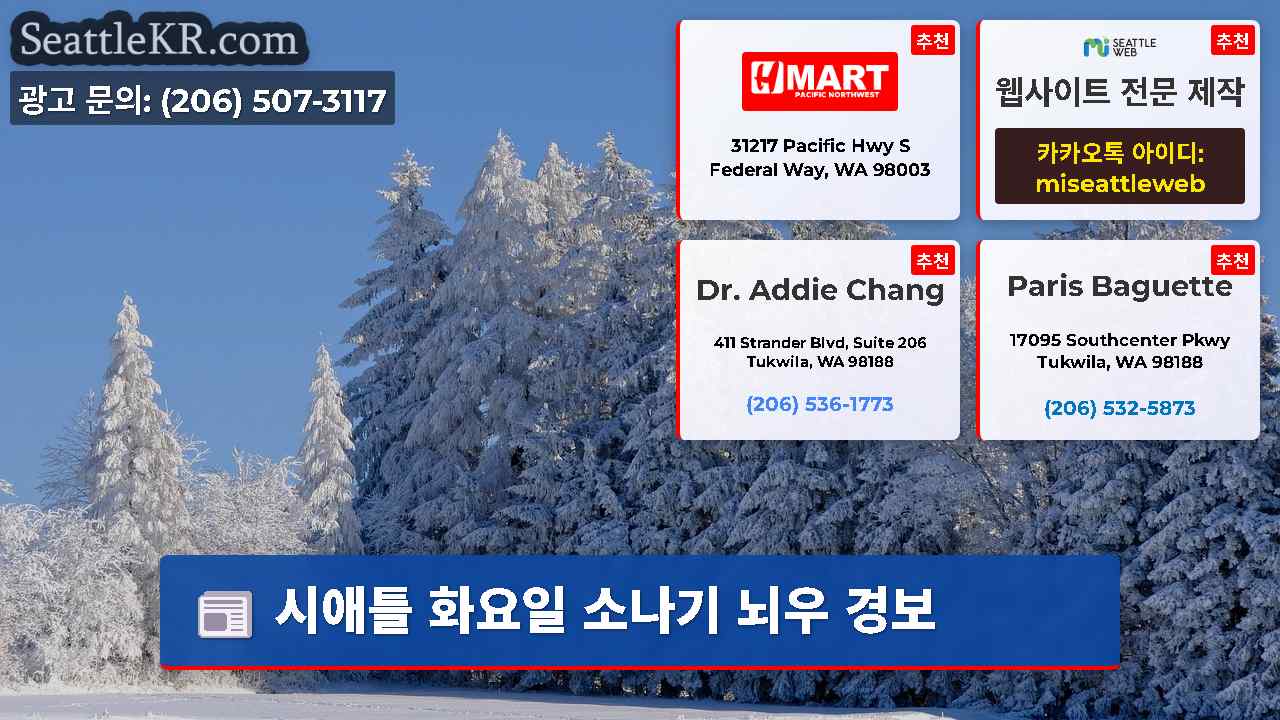 시애틀 뉴스 SeattleKR