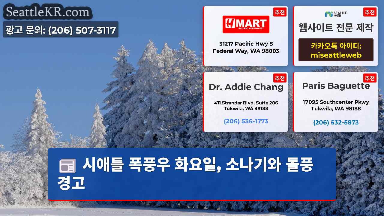 시애틀 뉴스 SeattleKR