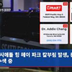 시애틀 힝 헤이 파크 칼부림 발생 용의자 수색 중