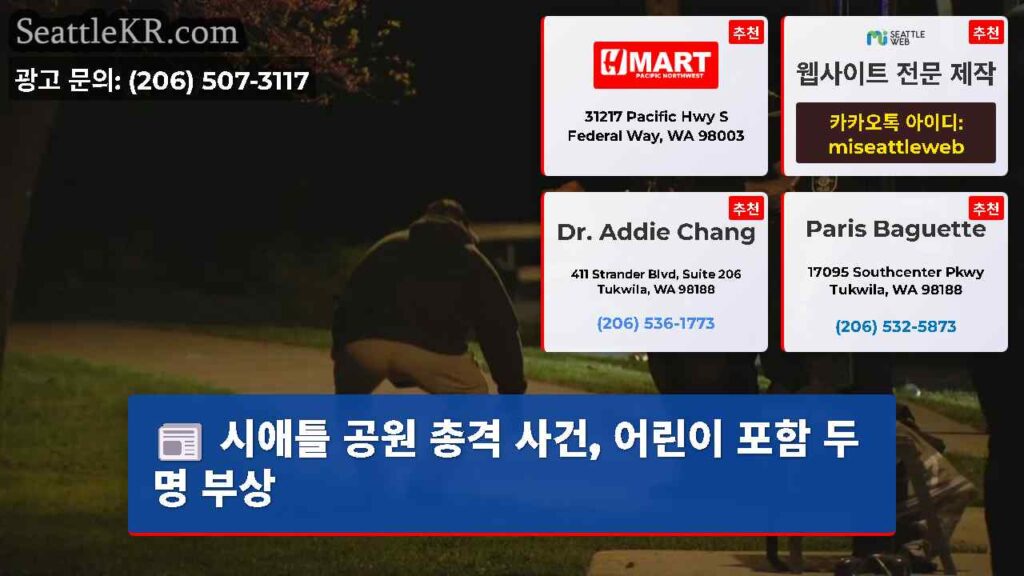 시애틀 공원 총격 사건, 어린이 포함 두 명 부상