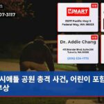 시애틀 공원 총격 사건 어린이 포함 두 명 부상