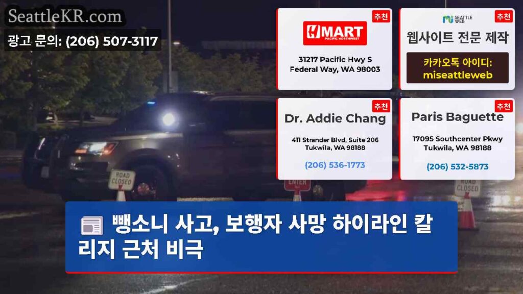 뺑소니 사고, 보행자 사망 하이라인 칼리지 근처 비극