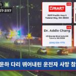 운하 다리 뛰어내린 운전자 사망 참사