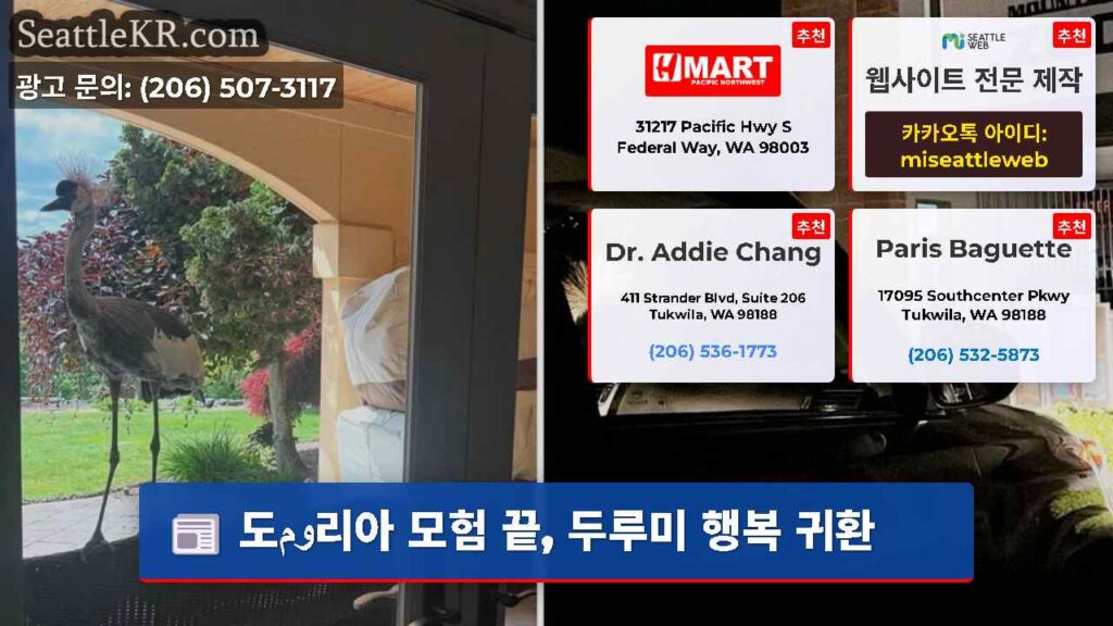 도وم리아 모험 끝, 두루미 행복 귀환