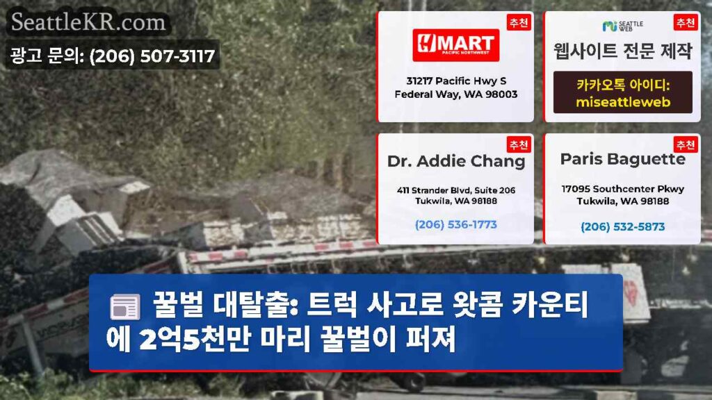 꿀벌 대탈출: 트럭 사고로 왓콤 카운티에 2억5천만 마리 꿀벌이 퍼져