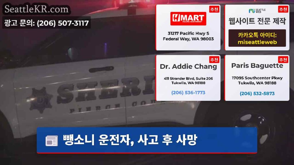 뺑소니 운전자, 사고 후 사망