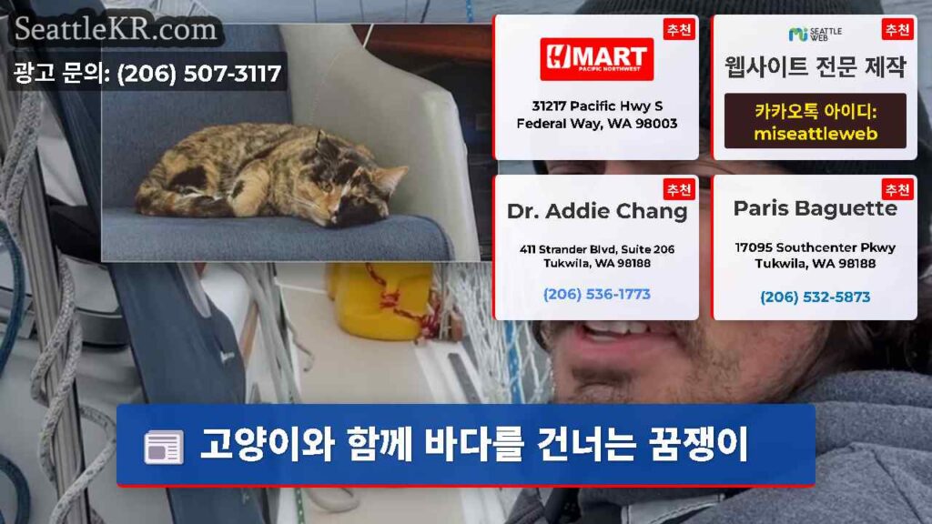 고양이와 함께 바다를 건너는 꿈쟁이