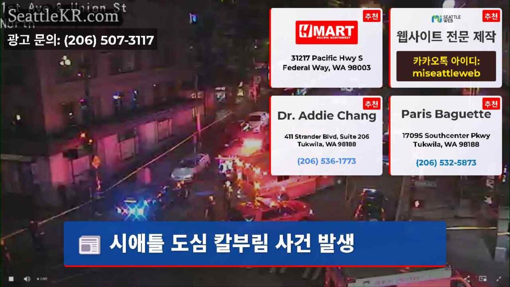 시애틀 도심 칼부림 사건 발생