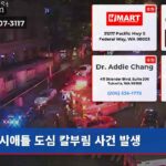 시애틀 도심 칼부림 사건 발생