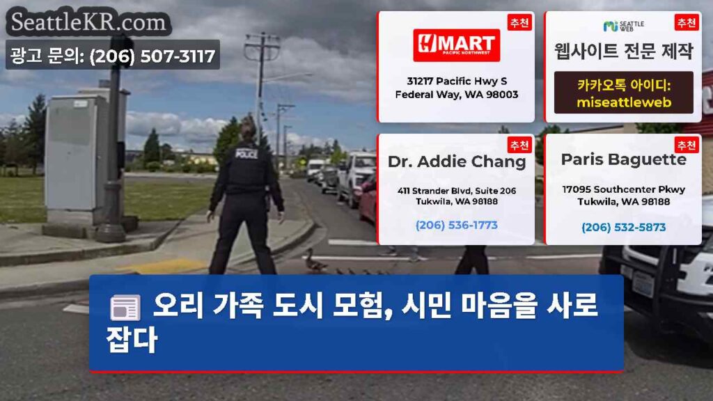 오리 가족 도시 모험, 시민 마음을 사로잡다