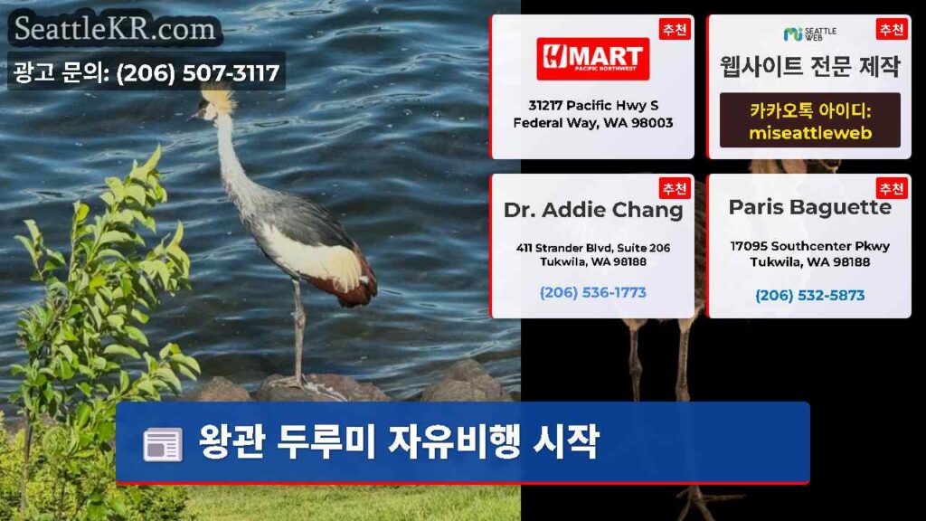 왕관 두루미 자유비행 시작