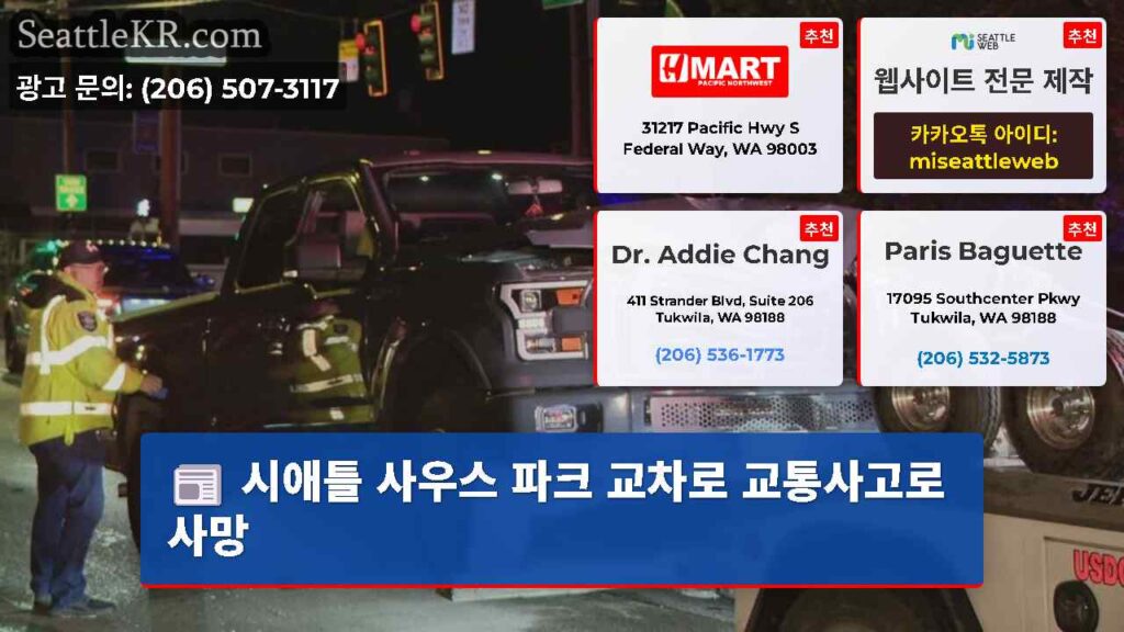 시애틀 사우스 파크 교차로 교통사고로 사망