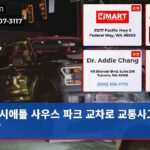 시애틀 사우스 파크 교차로 교통사고로 사망
