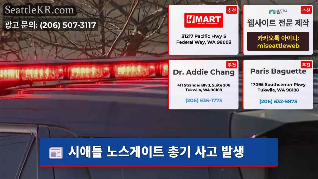 시애틀 노스게이트 총기 사고 발생