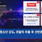 청소년 강도 경찰차 추돌 후 산탄총 회수