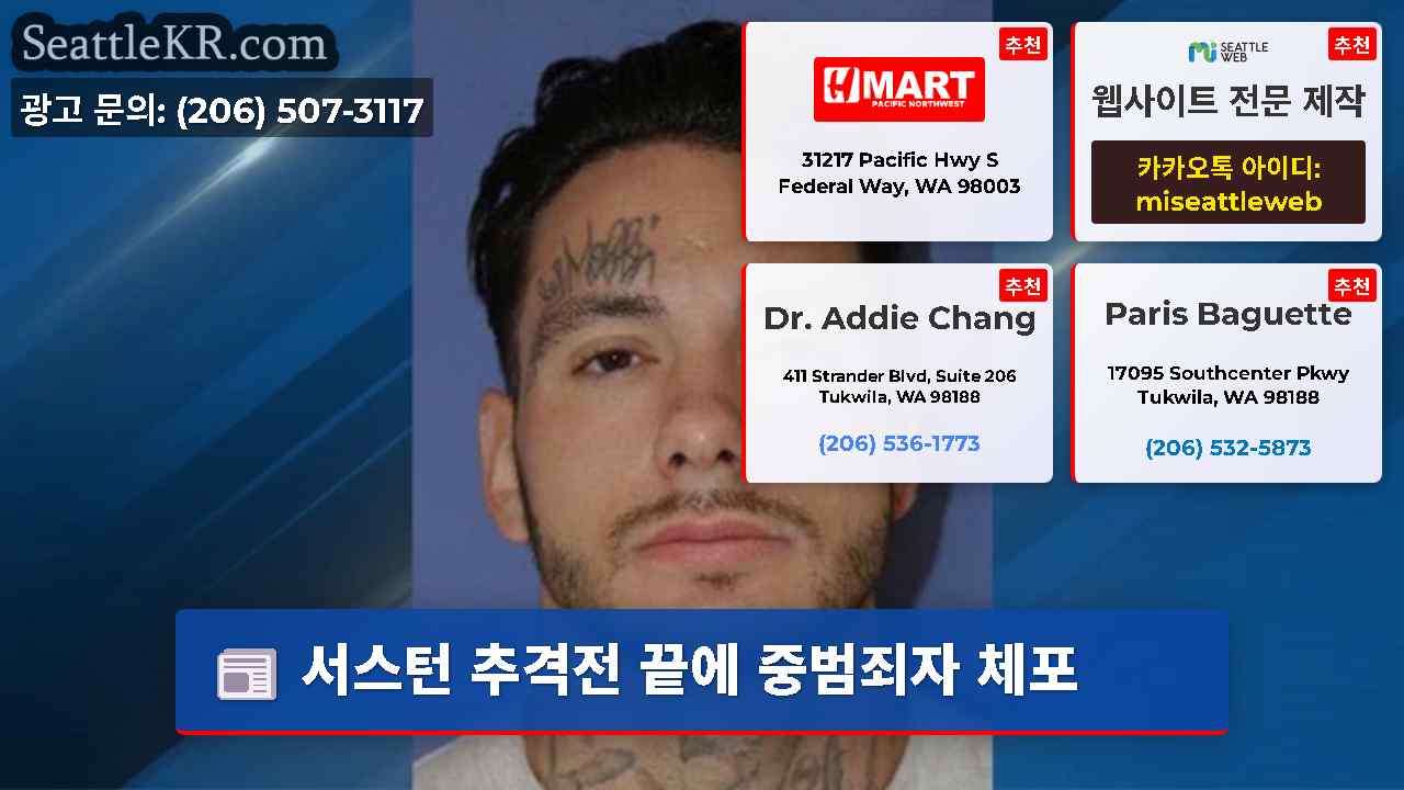 시애틀 뉴스 SeattleKR
