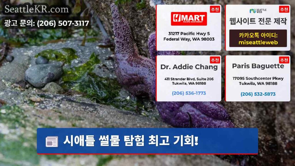 시애틀 썰물 탐험 최고 기회!
