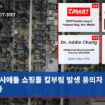 시애틀 쇼핑몰 칼부림 발생 용의자 추적 중