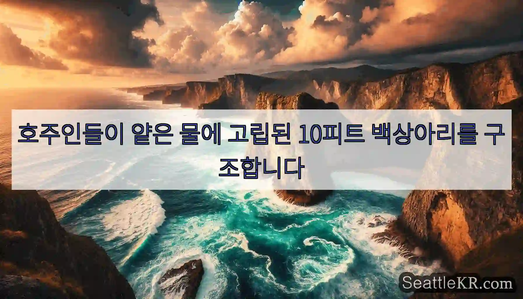 호주인들이 얕은 물에 고립된 10피트 백상아리를 구조합니다