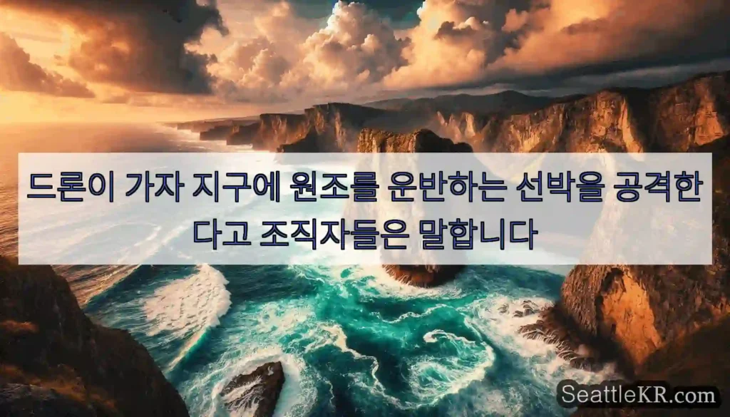 드론이 가자 지구에 원조를 운반하는 선박을 공격한다고 조직자들은 말합니다