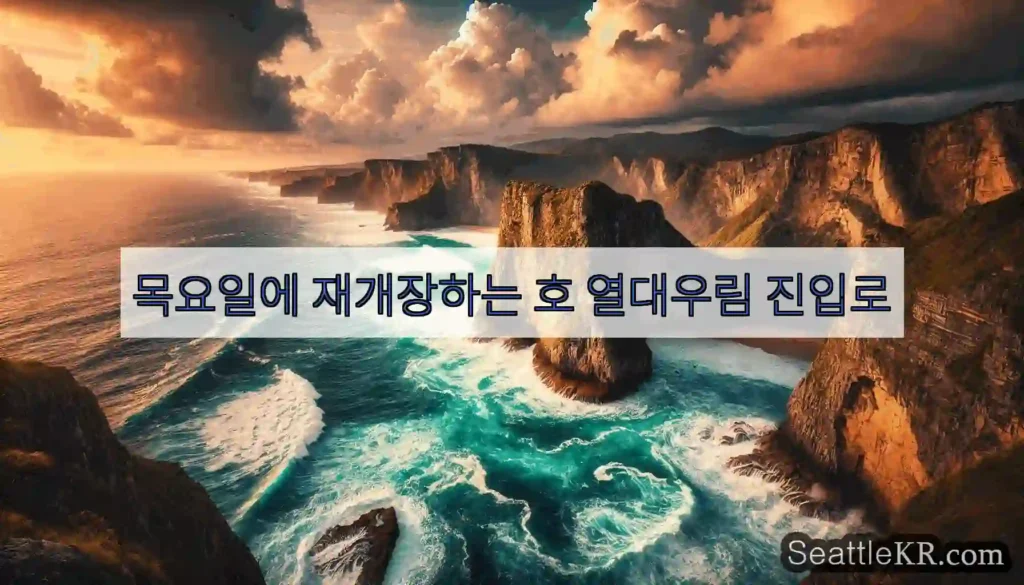 목요일에 재개장하는 호 열대우림 진입로