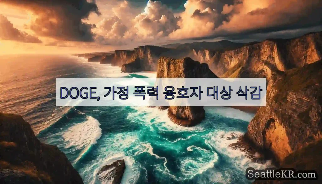 DOGE, 가정 폭력 옹호자 대상 삭감