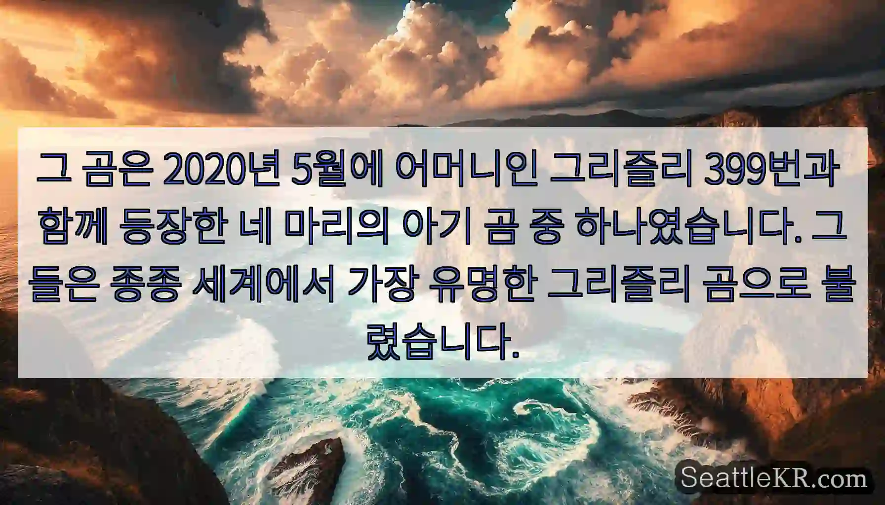 그 곰은 2020년 5월에 어머니인 그리즐리 399번과 함께 등장한 네 마리의 아기 곰