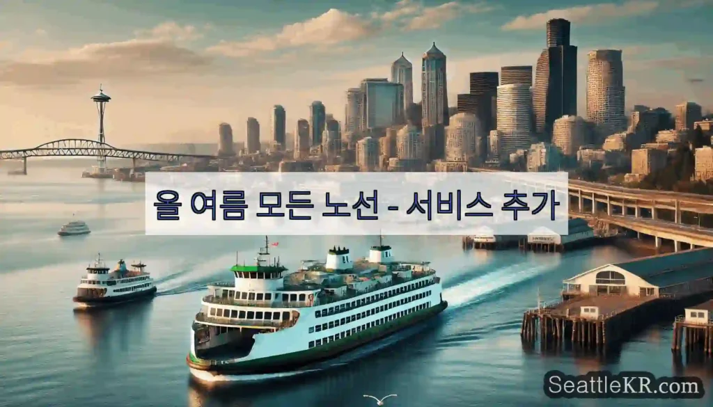 올 여름 모든 노선 - 서비스 추가