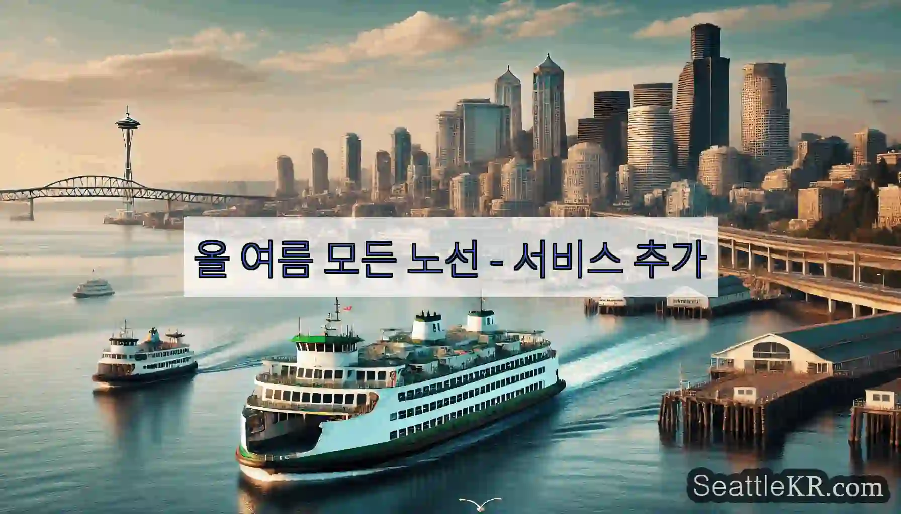 올 여름 모든 노선 - 서비스 추가