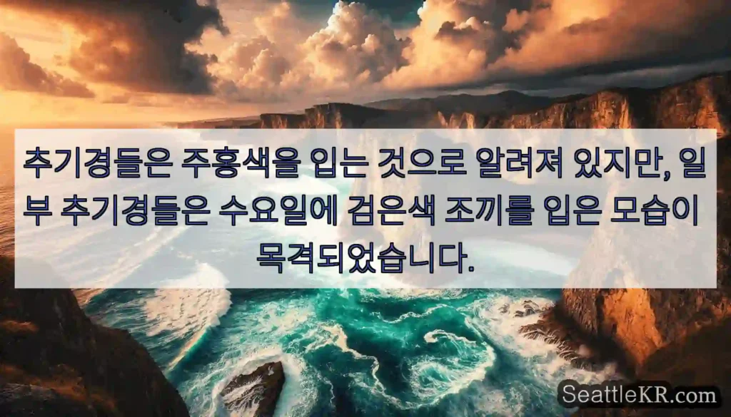 추기경들은 주홍색을 입는 것으로 알려져 있지만, 일부 추기경들은 수요일에 검은색 조끼를