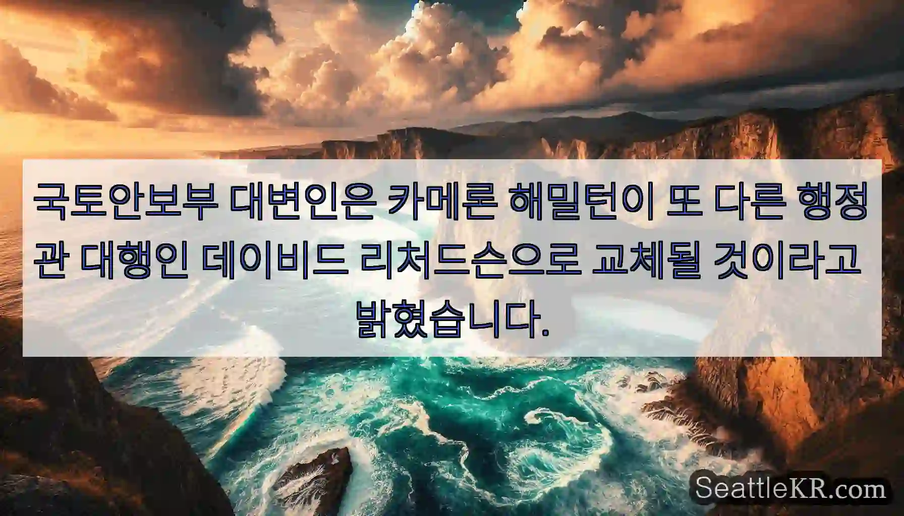 국토안보부 대변인은 카메론 해밀턴이 또 다른 행정관 대행인 데이비드 리처드슨으로 교체될