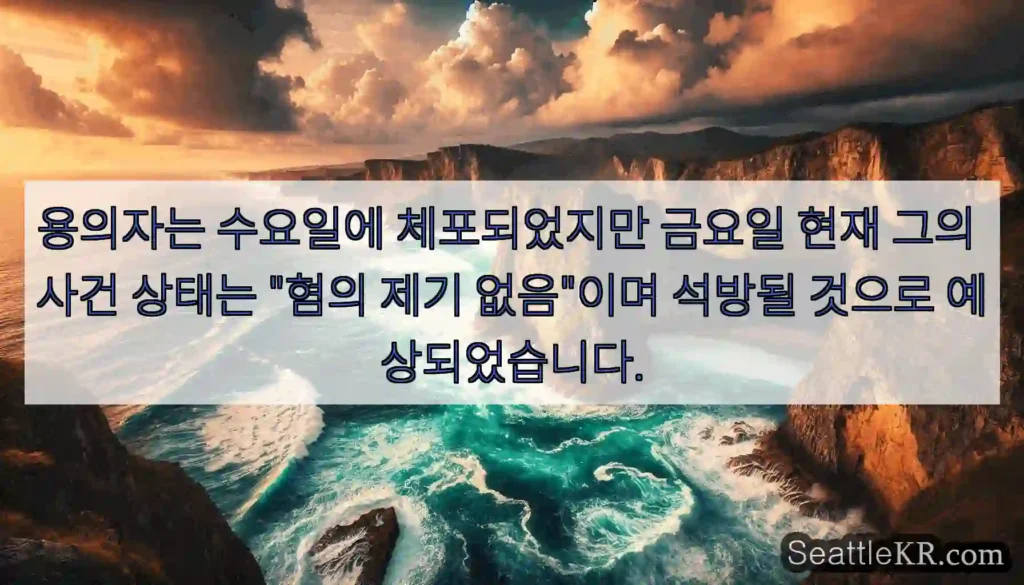 용의자는 수요일에 체포되었지만 금요일 현재 그의 사건 상태는 "혐의 제기 없음"이며